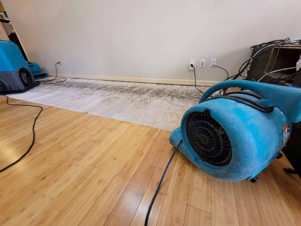 Professional Basement Flood Cleanup technician working in Summitville, IN